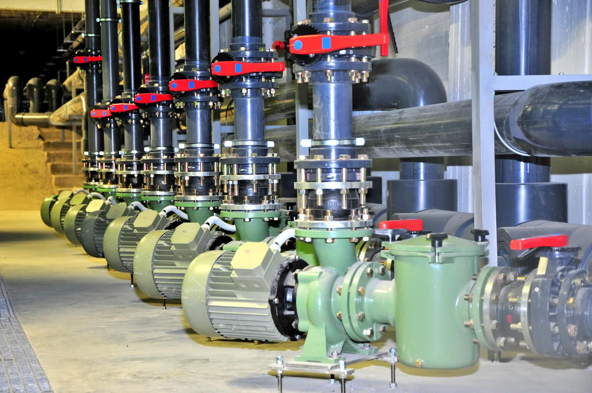 Δημοτικό Κολυμβητήριο Νάουσας - φωτογραφία 6